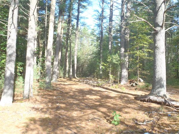 Land for Sale, ListingId:17791859, location: LOT A Winchendon Rd Ashburnham 01430