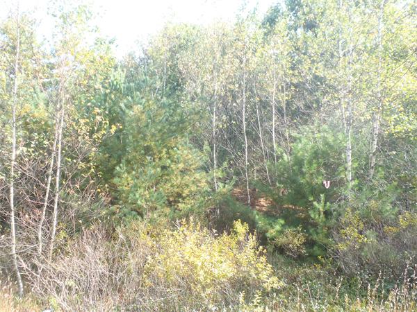 Land for Sale, ListingId:17791862, location: 0 Hunter Ave Ashburnham 01430