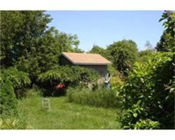Viewing Image 6