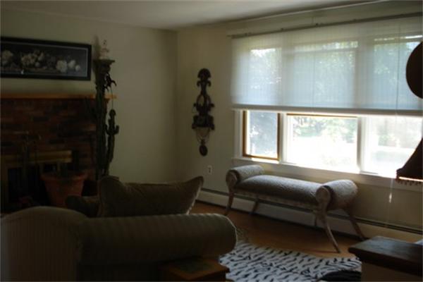 Viewing Image 11