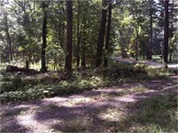 Viewing Image 3