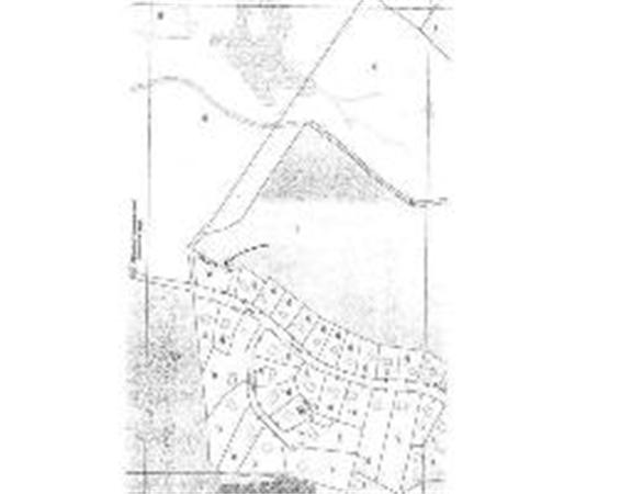 Viewing Image 4