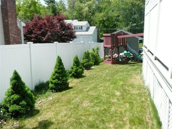 Viewing Image 14