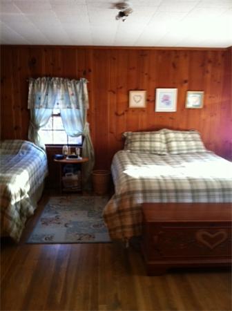 Viewing Image 13