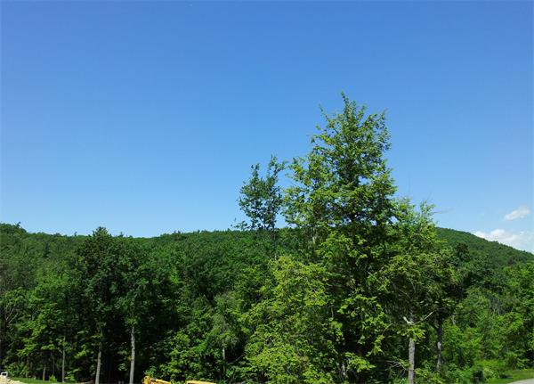 Viewing Image 7