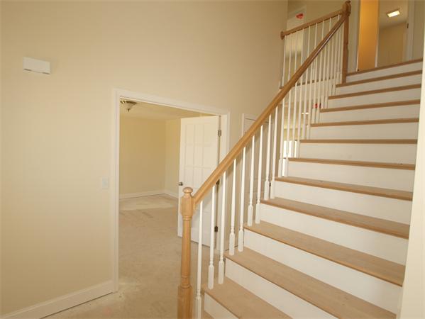 Viewing Image 7