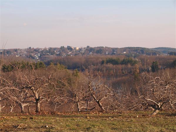 Viewing Image 12