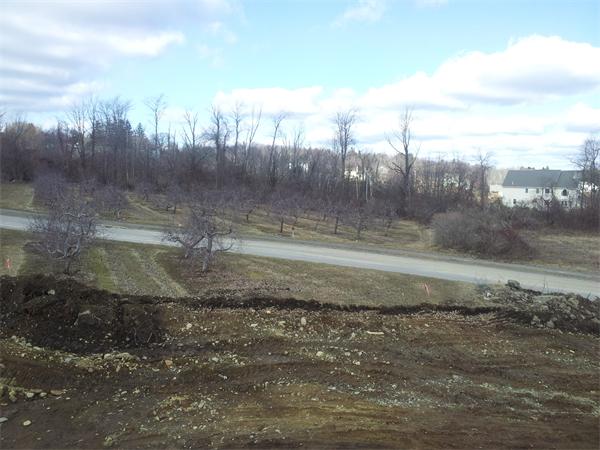 Viewing Image 13