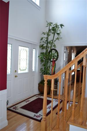 Viewing Image 8