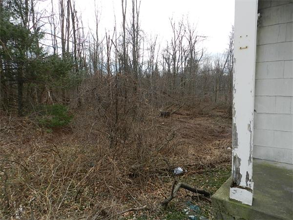 Viewing Image 6