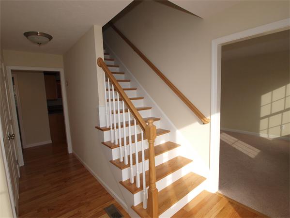 Viewing Image 12