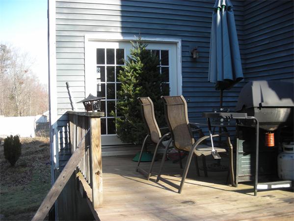 Viewing Image 7