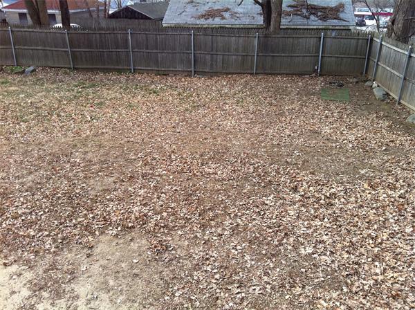 Viewing Image 13