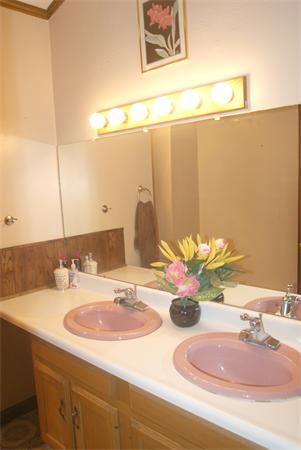Viewing Image 12