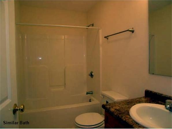 Viewing Image 5