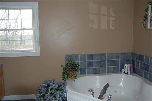 Viewing Image 15