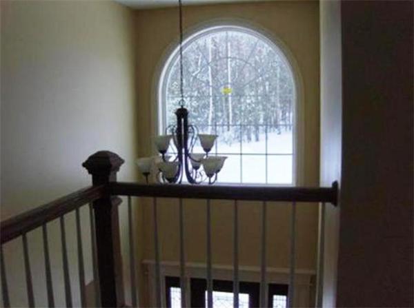 Viewing Image 5