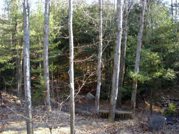 Viewing Image 6