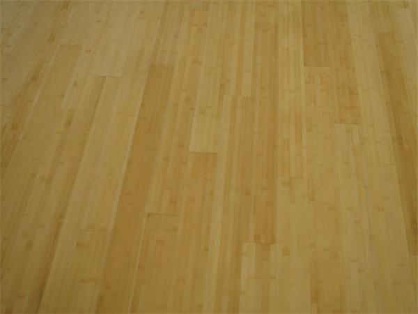 Viewing Image 8