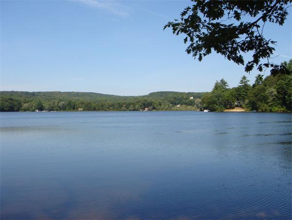 Viewing Image 19