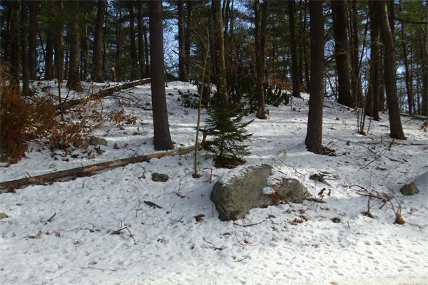 Viewing Image 11