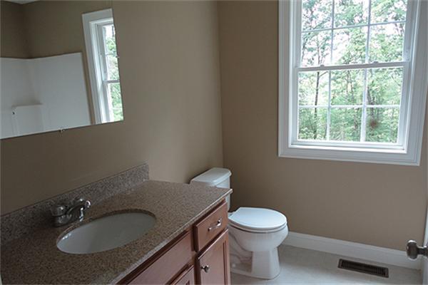 Viewing Image 15