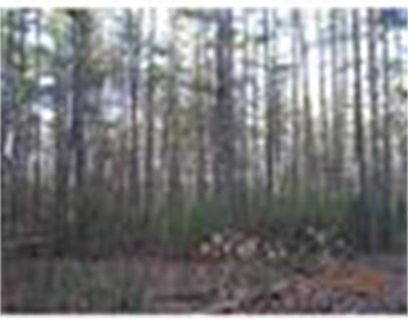 Land for Sale, ListingId:18472993, location: 286 Massapoag Rd Tyngsboro 01879
