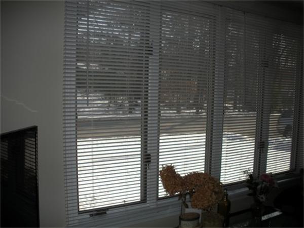 Viewing Image 3