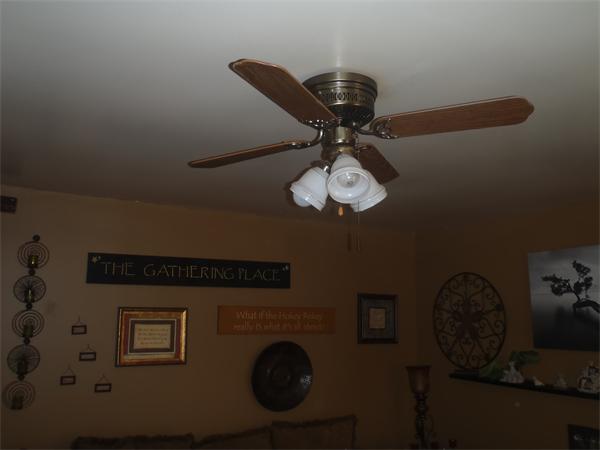 Viewing Image 8