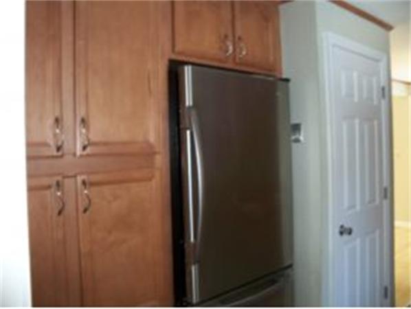 Viewing Image 5