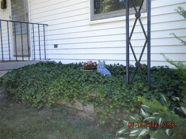Viewing Image 6