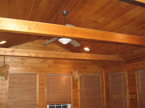 Viewing Image 11