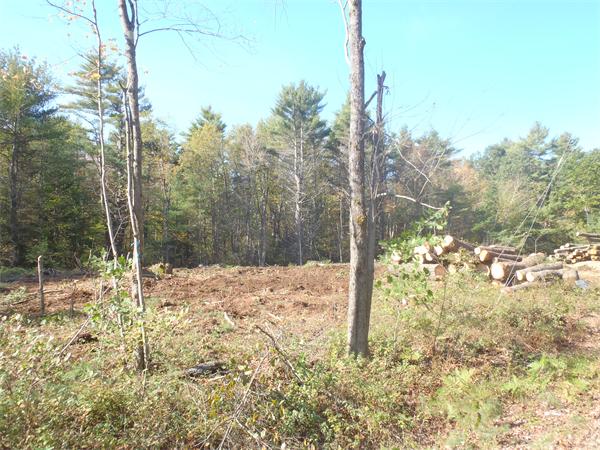 Land for Sale, ListingId:17982309, location: 145 Tuckerman Rd Ashburnham 01430