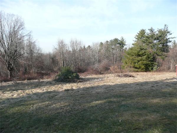 Viewing Image 15