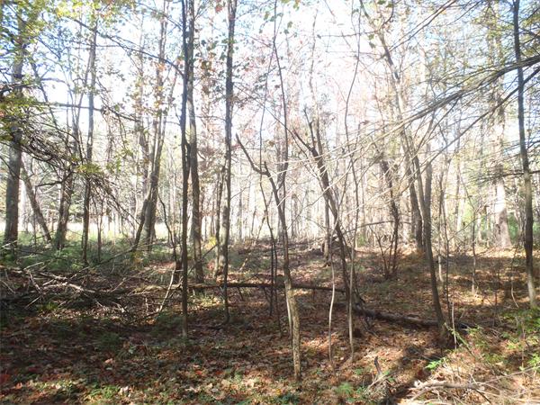 Land for Sale, ListingId:17982302, location: 155 TUCKERMAN Ashburnham 01430