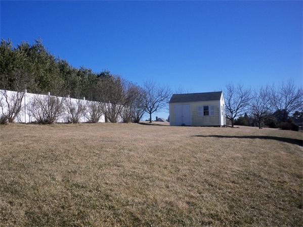 Viewing Image 29