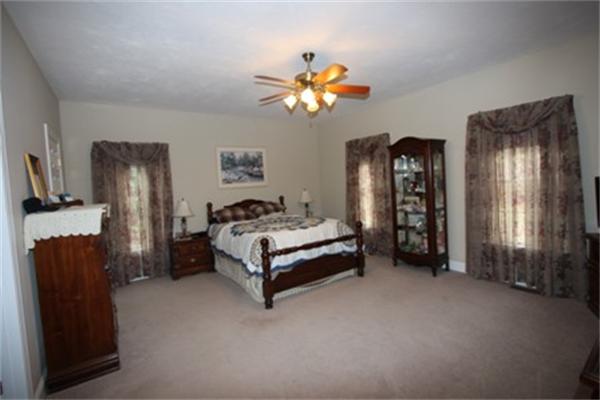 Viewing Image 15