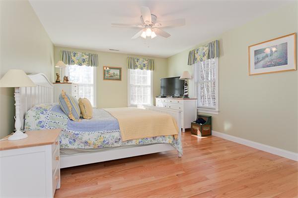 Viewing Image 22