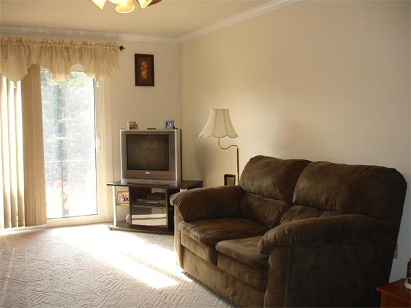 Viewing Image 7