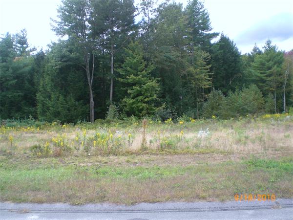 Viewing Image 2