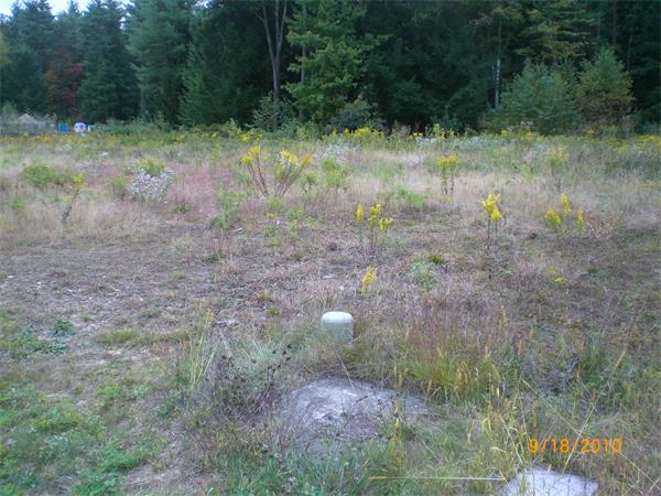Viewing Image 3