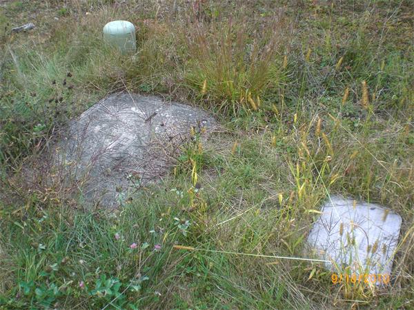 Viewing Image 4