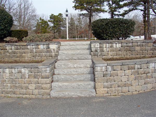 Viewing Image 8