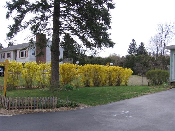 Viewing Image 25