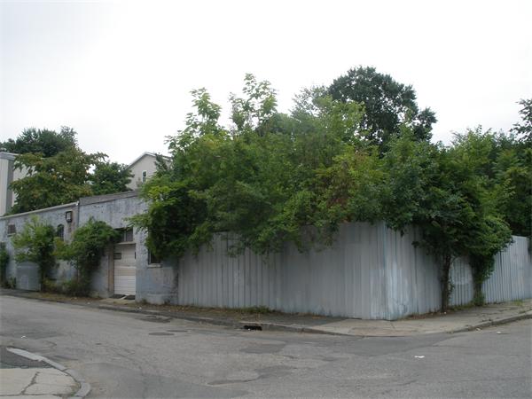 Viewing Image 4