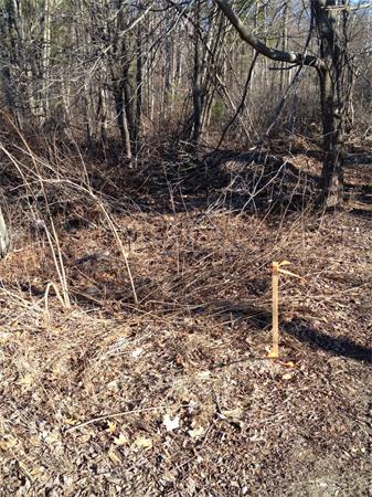 Land for Sale, ListingId:18048135, location: 0-1 Winchendon Road Ashburnham 01430