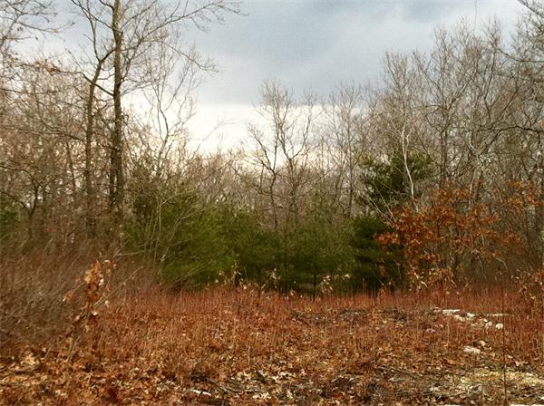 Land for Sale, ListingId:18075604, location: LOT 2 High Street Douglas 01516
