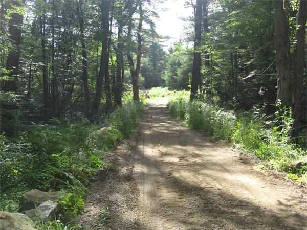 Land for Sale, ListingId:18169014, location: 112 Charlton Road Spencer 01562