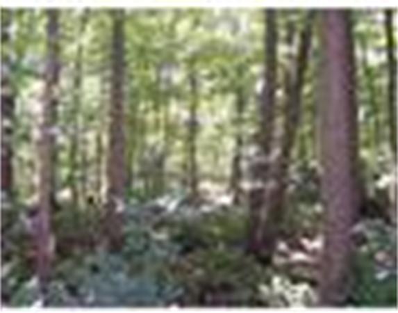 Land for Sale, ListingId:18760223, location: Lot 0 Stafford Street Leicester 01524