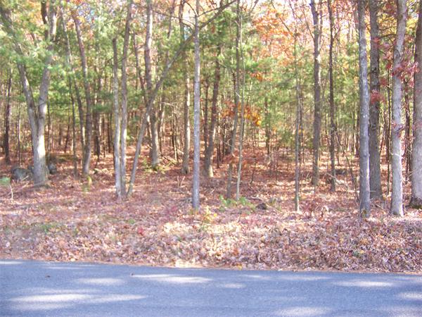 Land for Sale, ListingId:18586676, location: 91 - B Sewall Shrewsbury 01545